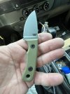 IMG_2616.jpeg