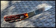 IMG_4189.jpeg