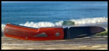 IMG_2024-06-17-085659.jpeg