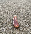 IMG_0398.jpeg