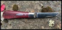 IMG_4239.jpeg
