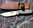 esee.jpg esee.jpg