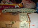 DSC07433.jpg