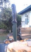 IMAG0282.jpg