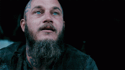 1719234160006.gif