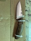 IMG_1323.jpeg