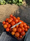 IMG_5486.jpeg