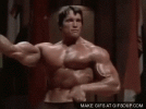 IMG_8187.gif