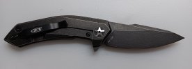 ZT 0095 2.jpg