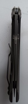 ZT 0095 blade.jpg