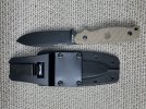 IMG_1709.jpeg