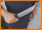 Free rein tanto 4 border edge.jpg