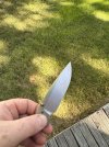 IMG_1137.jpeg
