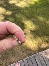 IMG_1138.jpeg