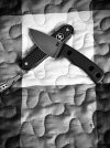 IMG_2858.jpeg