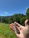 IMG_3458.jpeg