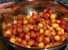 IMG_5398.jpeg