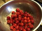 IMG_5414.jpeg