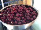IMG_5425.jpeg