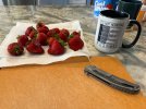 IMG_5283.jpeg