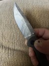 IMG_2478.jpeg