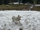 IMG_2236.jpeg