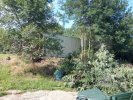 brushy berm after alt view with brush pile.jpg