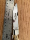 IMG_1870.jpeg