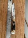 IMG_1869.jpeg