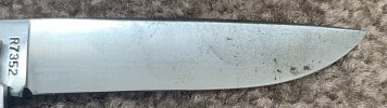 IMG_4860.jpeg