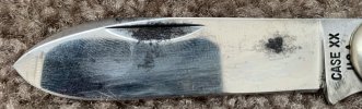 IMG_4868.jpeg