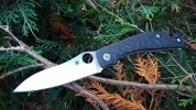 Spyderco Kapara.jpg