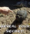 secrets.jpg