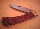 buck 017.jpg