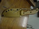 DSC01546.jpg