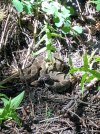 IMG_3503.jpeg