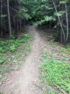IMG_3477.jpeg