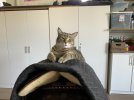 IMG_3747.jpeg