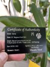 IMG_4129.jpeg