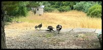 IMG_4666.jpeg