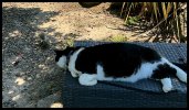 IMG_4668.jpeg