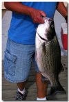 Primbles Big Fish.jpg
