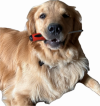 1720878134535.png