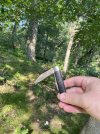 IMG_5934.jpeg