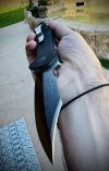 IMG_8668.jpeg