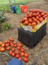 IMG_5580.jpeg