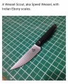 1000051932.jpg