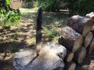 IMG_2139.jpeg