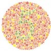 colorblind-test-image7.jpg