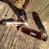 ImageUploadedByTapatalk1395416080.407576.jpg
